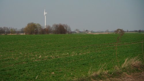 Elektrownia wiatrowa w szczerym polu w gminie Lutomiersk